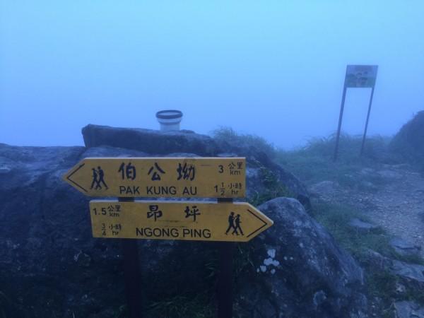 救援帅男孩