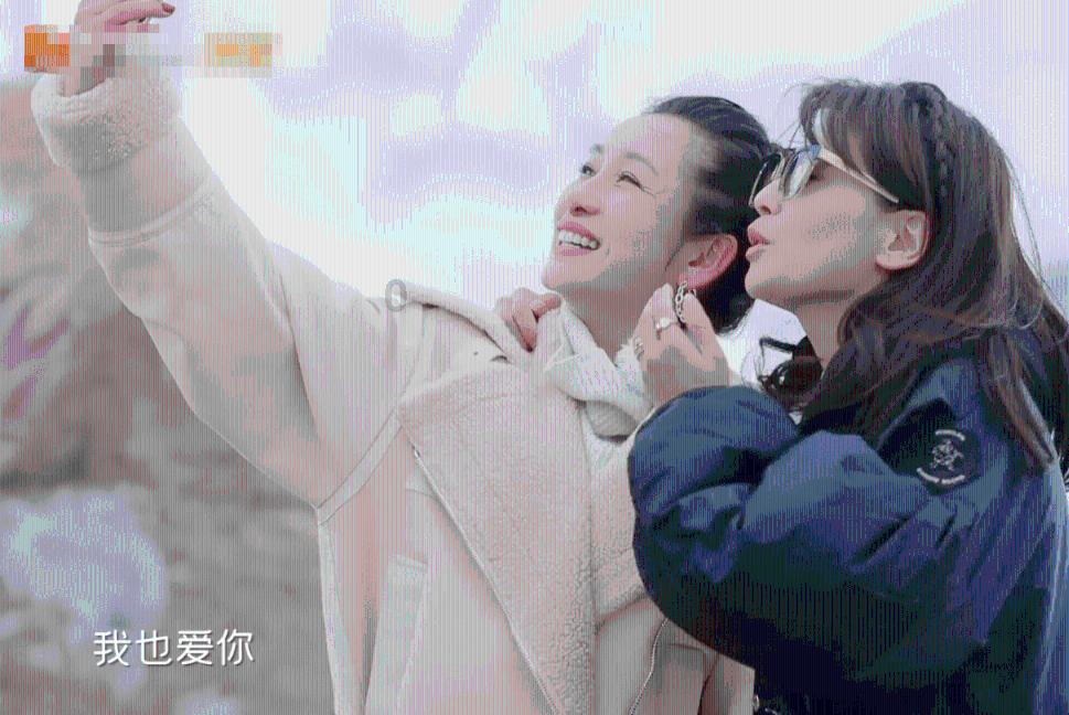 救援七星瓢虫